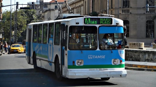 Por fallas, dos líneas de trolebuses serán reemplazadas por colectivos en Córdoba