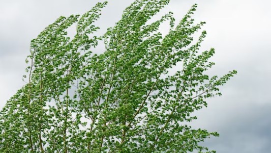 Fuerte descenso de temperatura desde este viernes en Córdoba