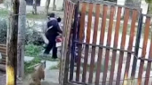 Video: un perro salvó a su dueña de un robo
