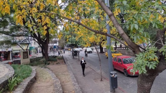 Tiempo en Córdoba: miércoles inestable con posibles tormentas