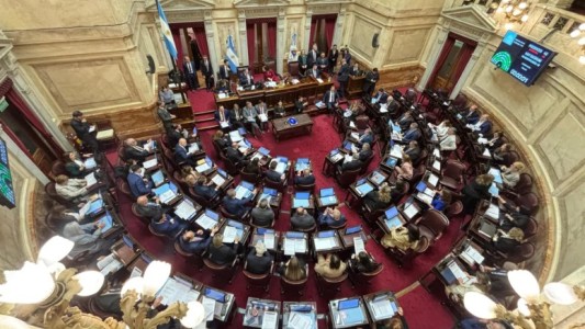 El Senado rechazó el proyecto de ley de Ficha Limpia