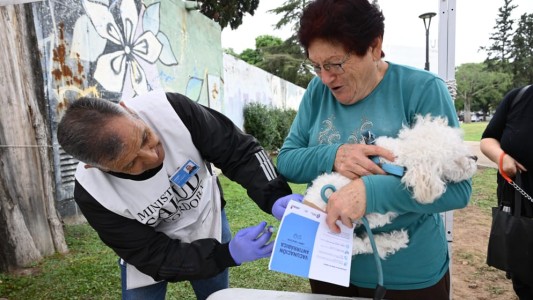 Finaliza la campaña de vacunación para perros y gatos en Córdoba: cuándo es el último día