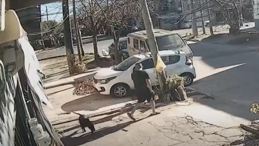 Sin corazón: ató a la perra la reja de una casa y la abandonó