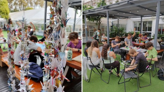 Mil grullas por el nadador Matías Bottoni: un deseo colectivo por su recuperación