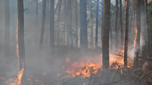 Declaran el "estado de alerta ambiental" en Córdoba por riesgo de incendios