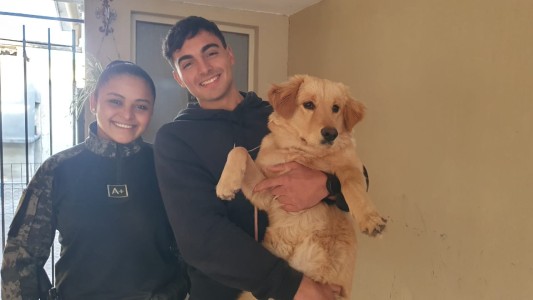 Video: la Policía de Córdoba rescató a un perro que había sido robado