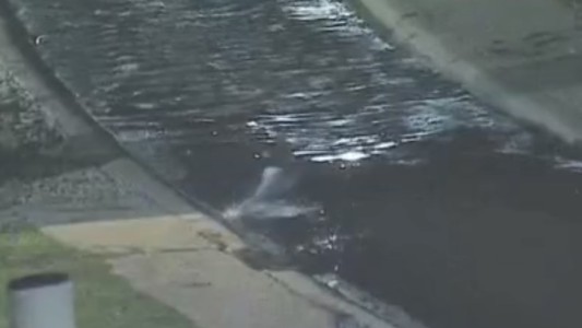 En pleno invierno: intentó robar una moto y se lanzó al Suquía para escapar