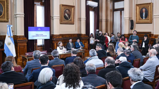 Discapacidad: Traspie del Gobierno en Senado. Radicales y Peronistas emiten dictamen