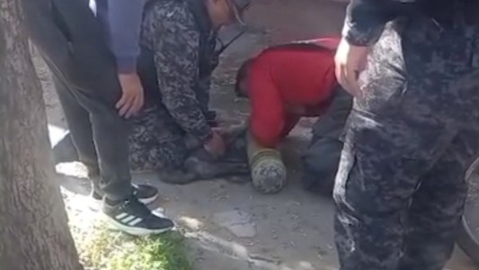 Rescataron a un gato de un incendio y lo reanimaron con maniobras de primeros auxilios