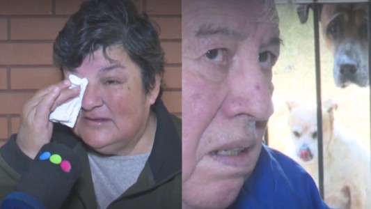 Con una jubilación mínima y cinco perros, enfrentan el desalojo: “No tenemos adonde ir”