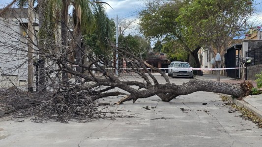 Ráfagas intensas, granizo y anegamientos: el saldo del temporal en Córdoba