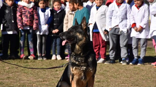 Se retiró Juez, el perro más experimentado de la Brigada Canina de Córdoba