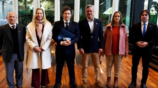 El Gobierno evalúa eliminar las retenciones a la exportación de carne