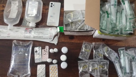 Rescataron a 19 perros de raza tras una allanamiento a una veterinaria ilegal en Córdoba