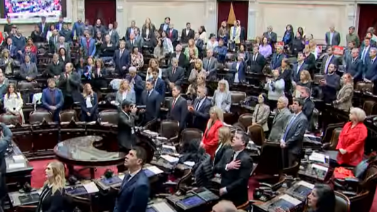 Vetos presidenciales: la oposición logró quorum en Diputados con la presencia de dos libertarios