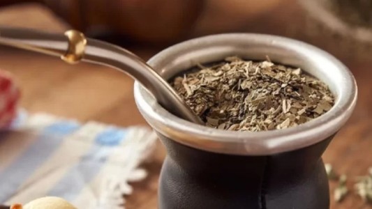 ¿La yerba mate puede curar heridas?