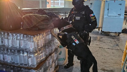 FPA incautó diversos tipos de drogas en una fiesta electrónica: un detenido