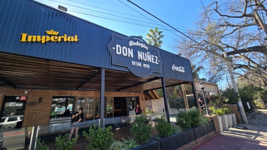 Sufrió 10 robos en menos de un año y hallaron al delincuente en la chimenea