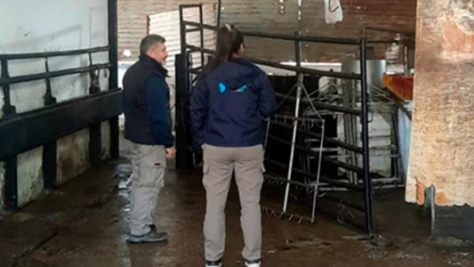 Patrulla Rural de Córdoba descubre matadero ilegal y secuestra 100 kilos de carne