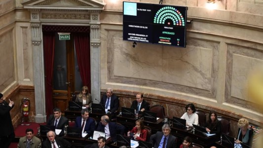 El Senado rechazó el veto en Discapacidad y la ley deberá ser promulgada