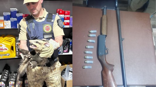 Rescataron 58 animales y detuvieron a diez personas en el interior provincial