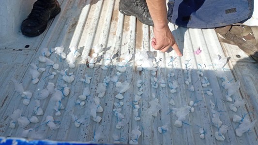 Llevaba cocaína, evadió un control y terminó detenido tras chocar contra una vivienda