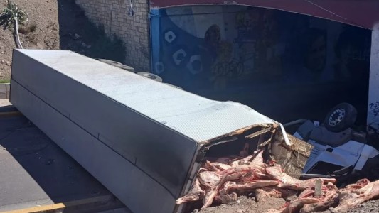 Un camión con carne volcó en Mendoza y la gente intentó llevarse las medias reses