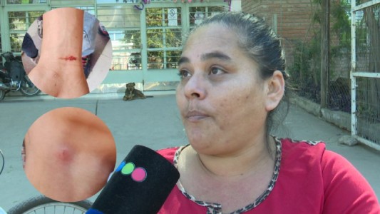 Dos estudiantes fueron brutalmente golpeados a la salida de un colegio