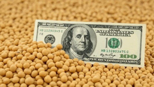 ARCA informó que se completó el cupo de exportaciones con retenciones cero