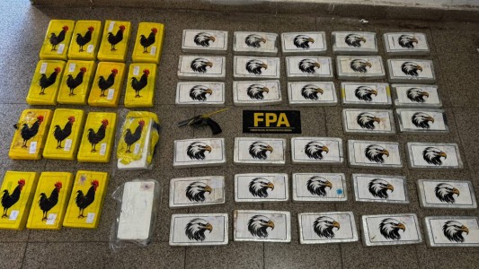 Megaoperativo: incautaron más de 50 kilos de cocaína valuados en $1.805 millones de pesos