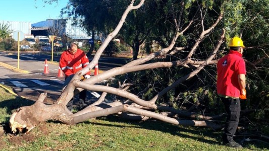 Defensa Civil reportó 394 incidentes en Córdoba por los vientos