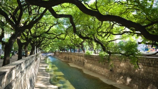 Soleado y agradable: Un día Ideal para disfrutar al aire libre en Córdoba