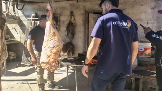 Desarticulan una faena clandestina que ofrecía carne por redes sociales