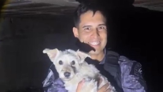 Perro rescatado por la Policía tras caer en un pozo en B° Centro