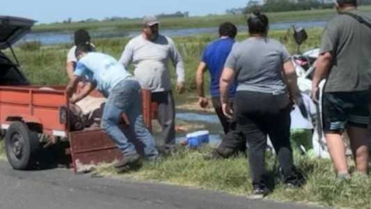 Vuelco y saqueo en la Ruta 7: una multitud se robó los cerdos