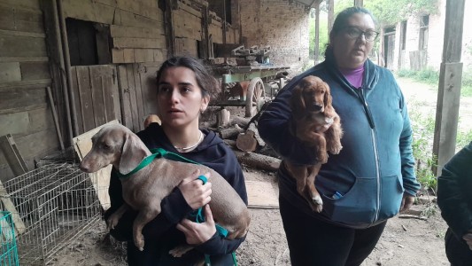 Nuevos allanamientos en criaderos clandestinos en Córdoba