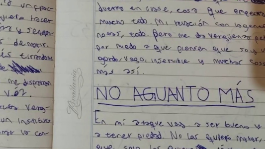 Armas de juguete, FBI y amenazas: cómo llegaron al chico que planeaba una masacre en su escuela