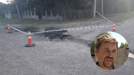 Un caballo murió electrocutado al pisar un charco con un cable pelado: “Mi hijo se salvó de milagro”