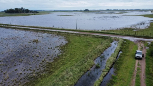 El Gobierno declaró y prorrogó la emergencia agropecuaria en zonas de Entre Ríos, Buenos Aires y Río Negro