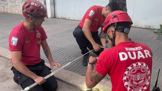 B° Providencia: bomberos rescataron a un gatito atrapado en un desagüe