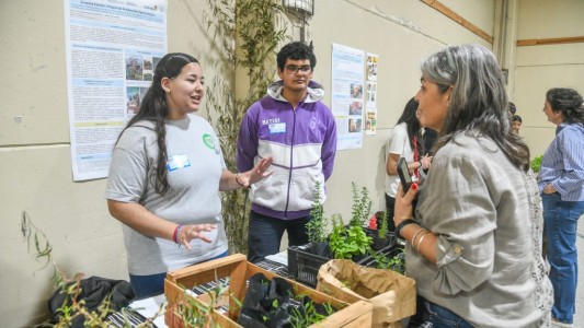 Estudiantes rurales protagonizaron iniciativas que promueven sustentabilidad local