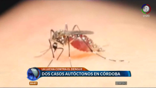 ALERTA DENGUE