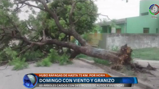 Los daños que causó el temporal.