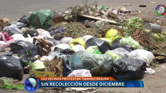 Por falta de recolección tiran basura a la calle.