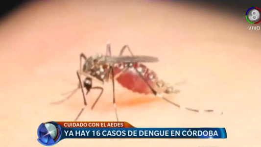 Ya son 16 los casos de dengue en Córdoba.