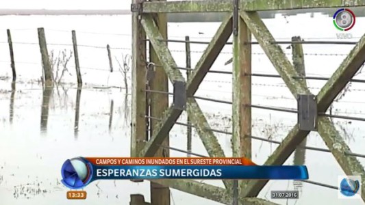 El drama de las inundaciones | Cavanagh lleva más de ocho meses bajo el agua