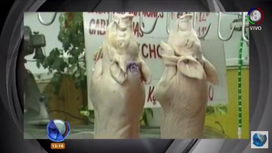 Confirman dos casos de Triquinosis en Huerta Grande