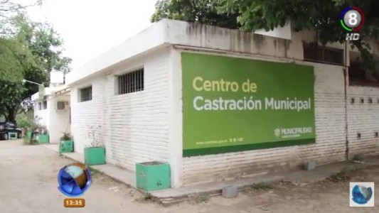 En el centro de castraciones reclaman por falta de insumos
