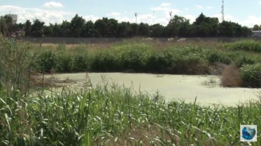 Colapsaron las cloacas de la terapia intensiva del Hospital de Niños