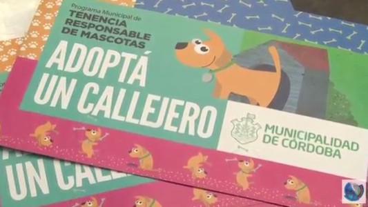 Municipio presentó un programa para adoptar mascotas